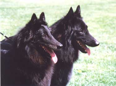 Chili & Pascha, May 2001